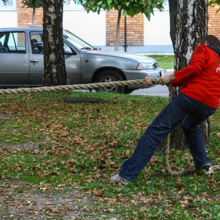 Nagyobb kép megtekintése